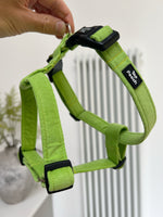 Lime Corduroy Dog Harness