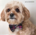 Mulberry Dog Bow Tie