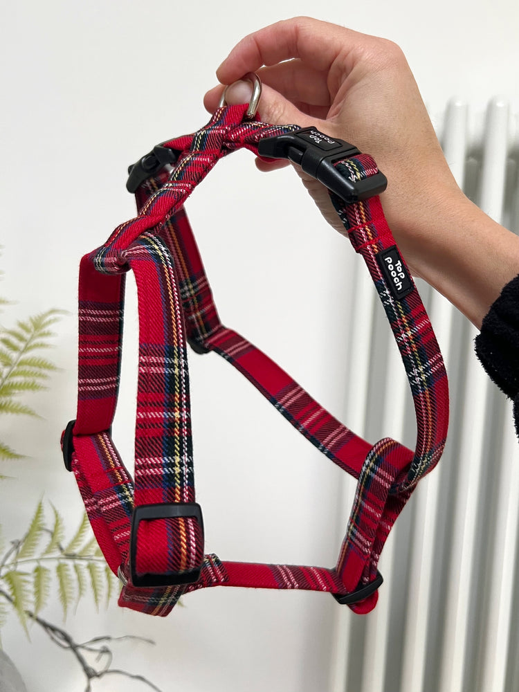 Royal Stewart Tartan Dog Harness