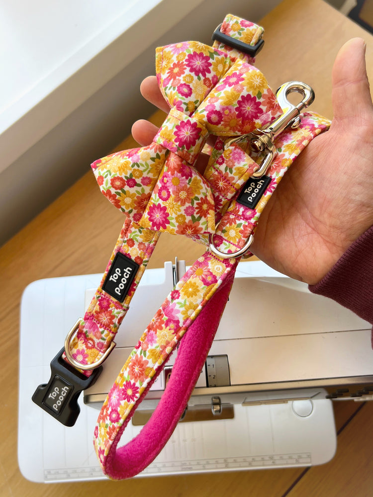 Summer Bloom Dog Collar