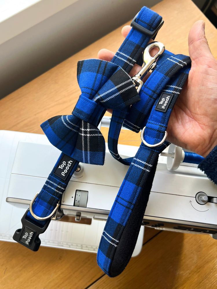 Royal Blue Dog Collar