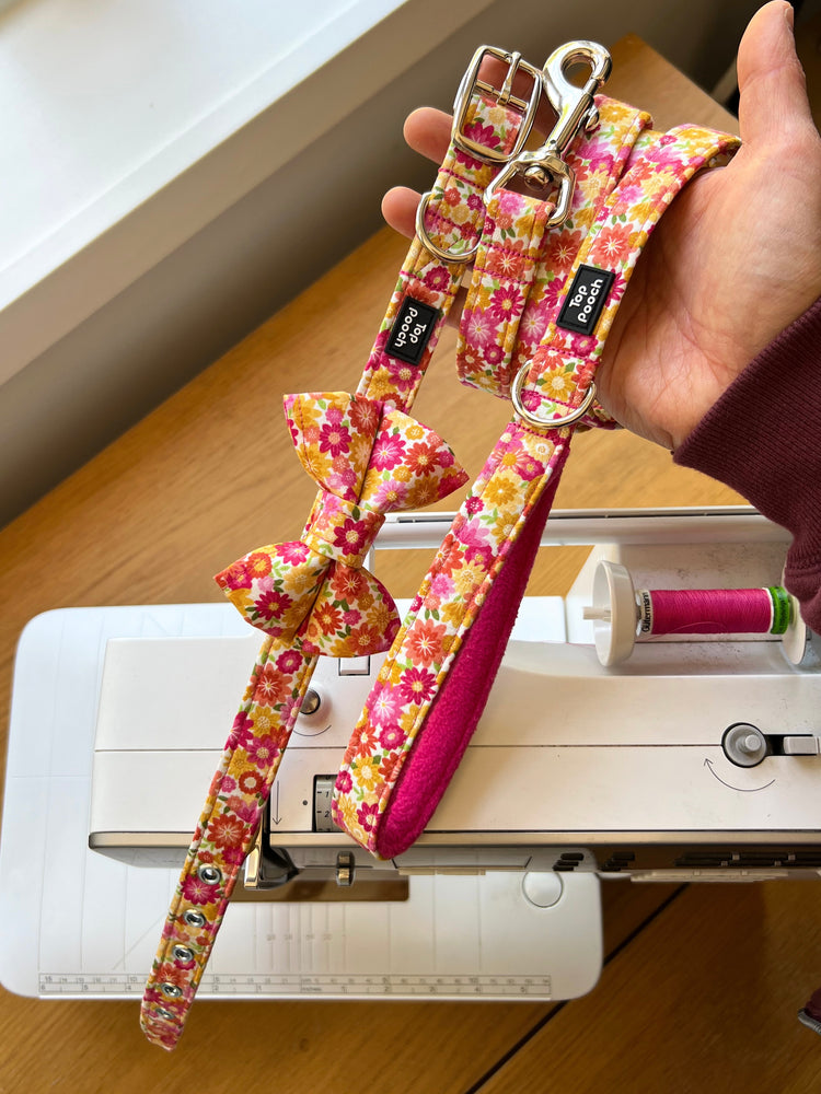 Summer Bloom (Silver Buckle) Dog Collar