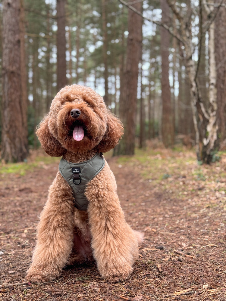 Quilted Dog Harness - Khaki