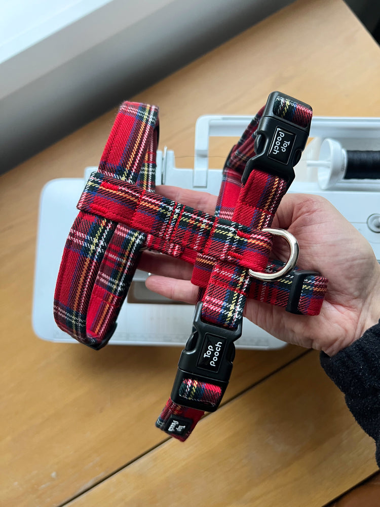 Royal Stewart Tartan Dog Harness