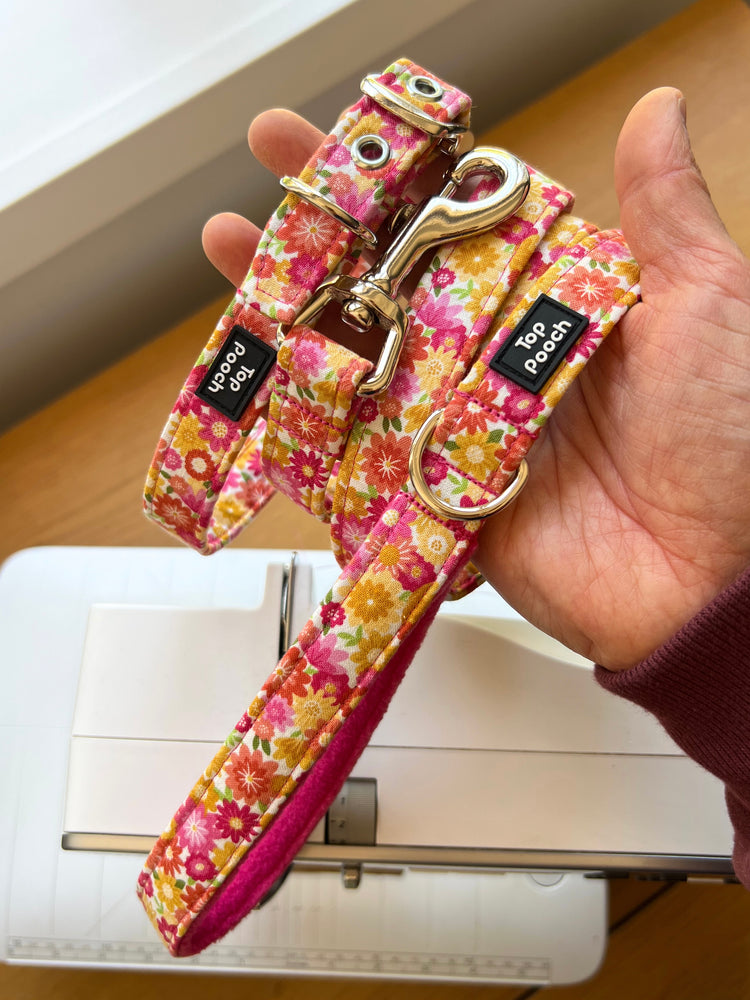 Summer Bloom (Silver Buckle) Dog Collar