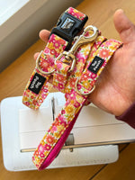 Summer Bloom Dog Collar