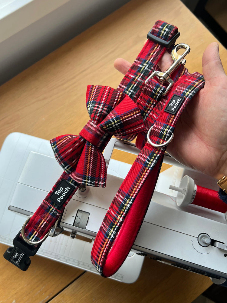 Royal Stewart Tartan Dog Collar