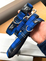 Royal Blue Dog Collar