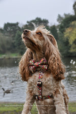 Flora Dog Harness