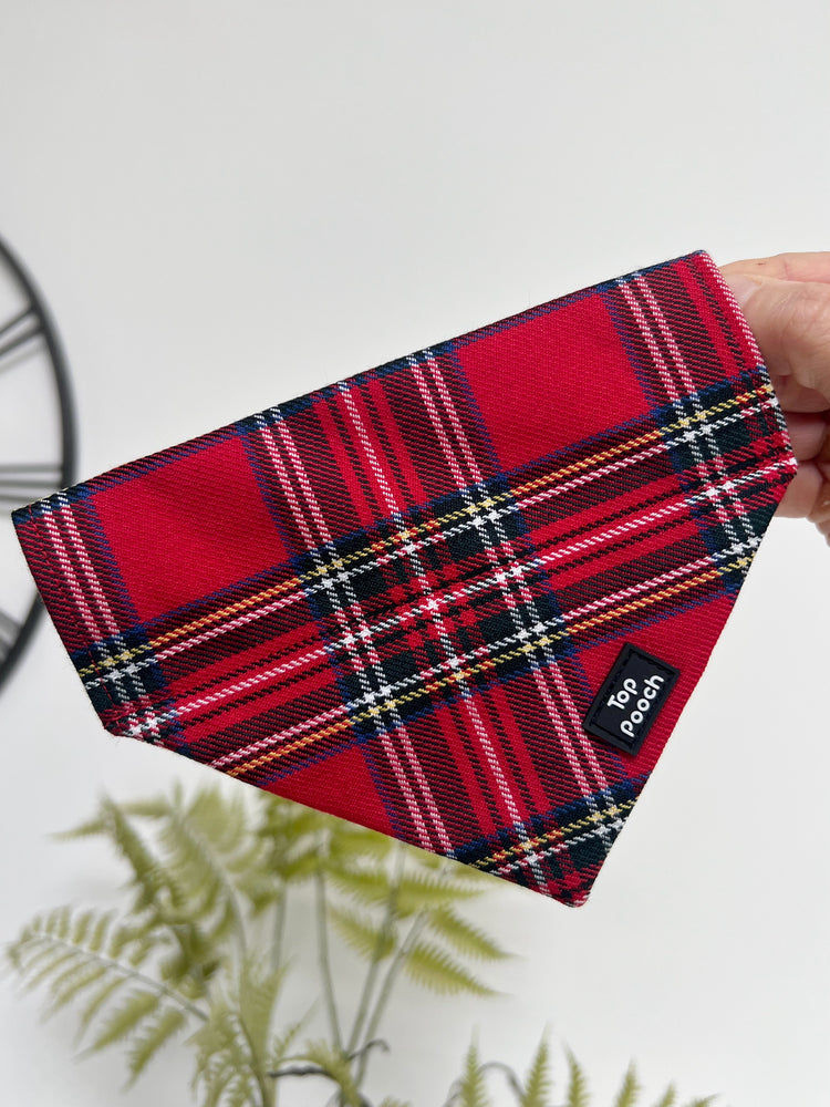 Royal Stewart Tartan Dog Bandana