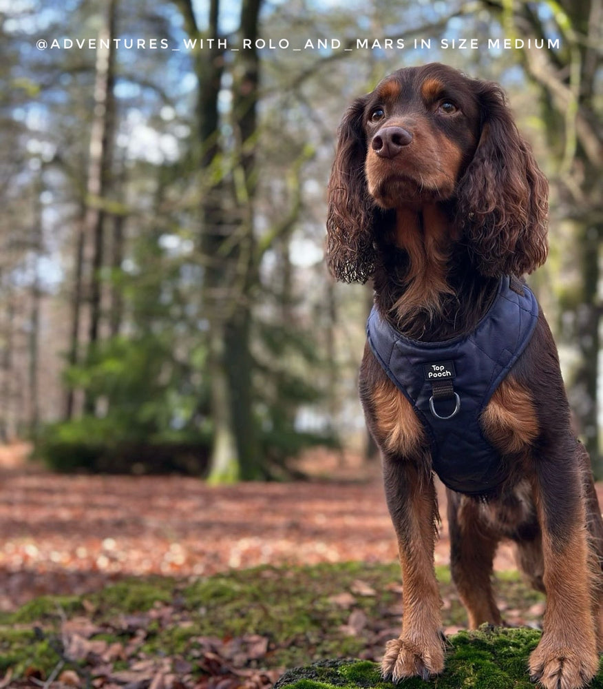 Quilted Dog Harness - Navy