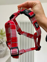 Red Check Dog Harness