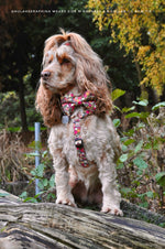 Flora Dog Harness