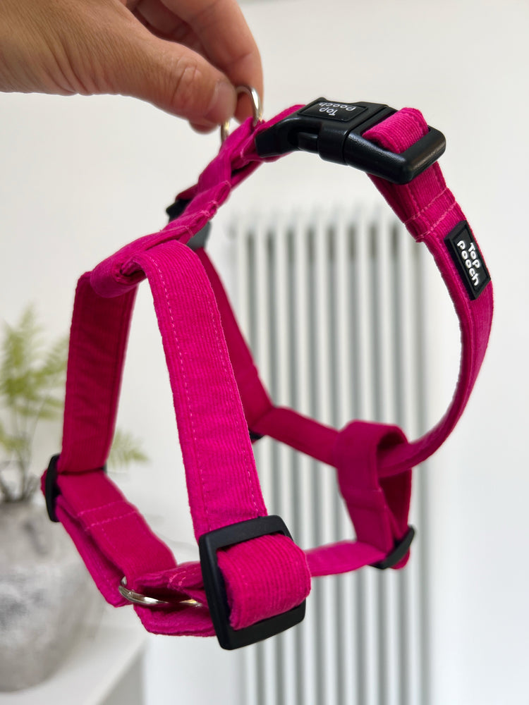 Fuchsia Corduroy Dog Harness