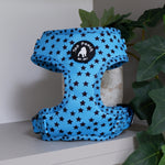 Stargazer Dog Harness