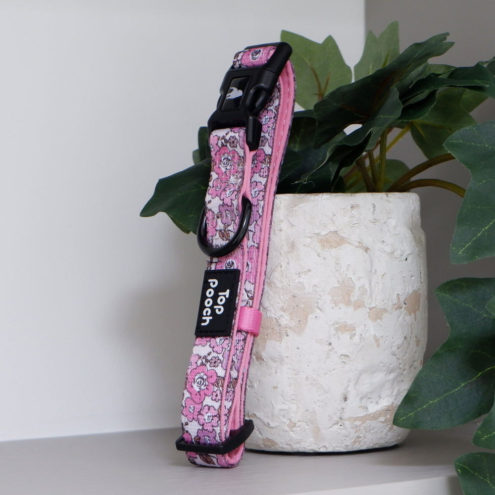 Blossom Dog Collar (Large Left)