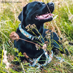 Superhero Dog Collar (Large Left)