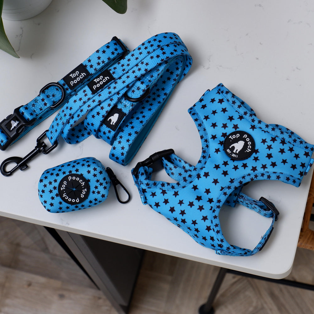 Stargazer Dog Harness