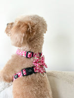 Pink Bloom Dog Harness