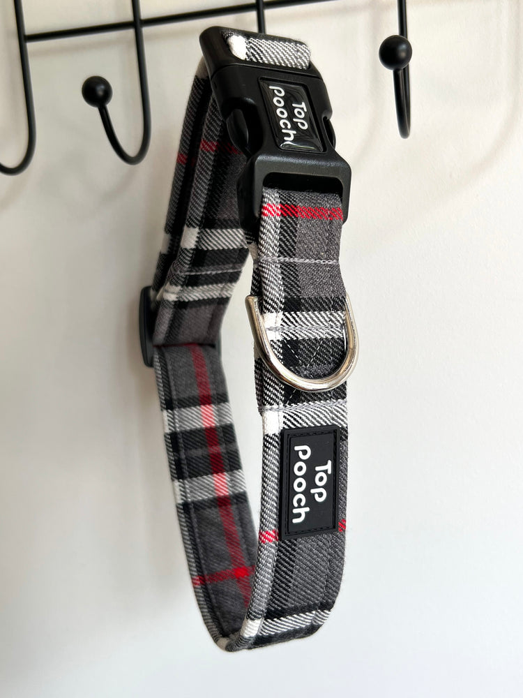 Light Grey + Red Stripe Dog Collar