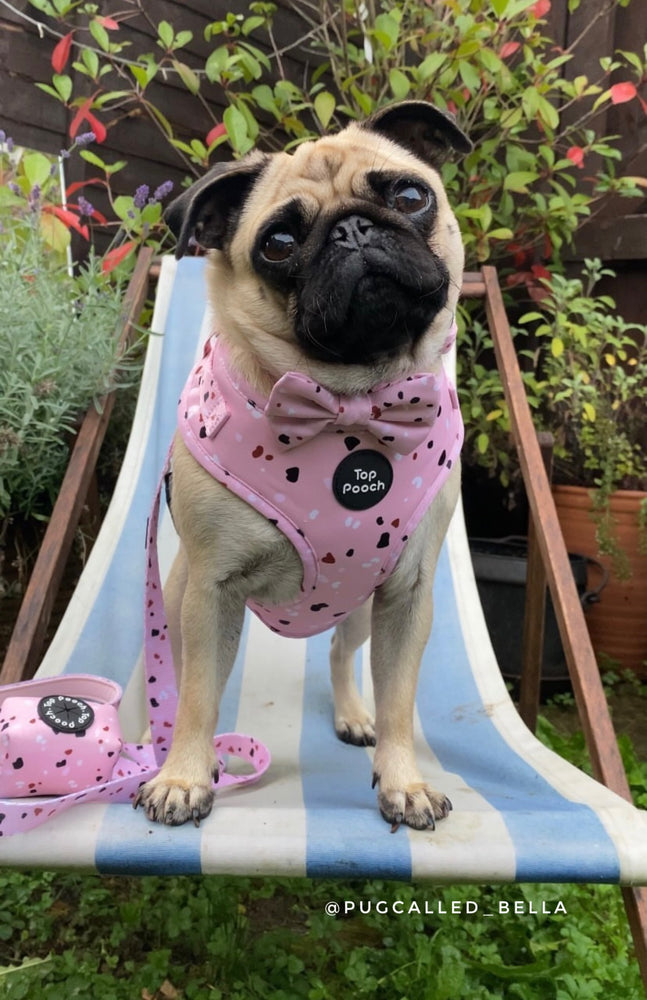 Confetti Dog Harness - Pastel Pink
