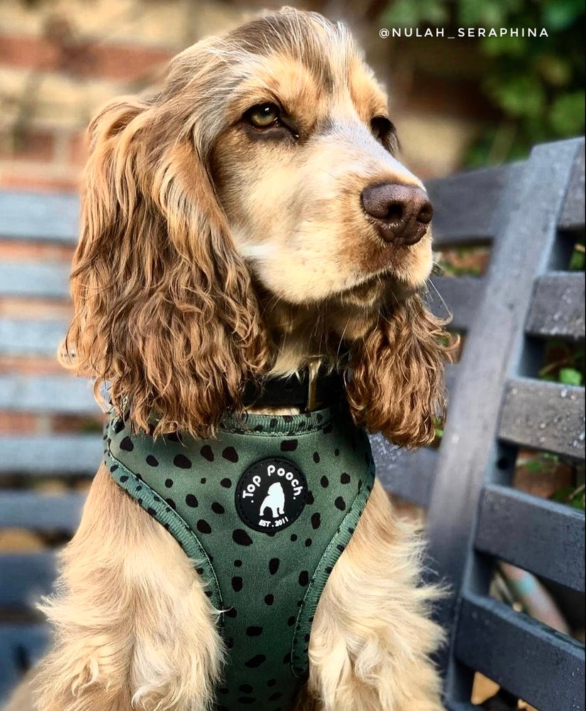 Animal Dog Harness (original logo) - Khaki Green