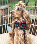 Red + Forest Green Tartan Dog Bow Tie