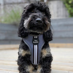 Retro Stripe Dog Harness - Steel Grey