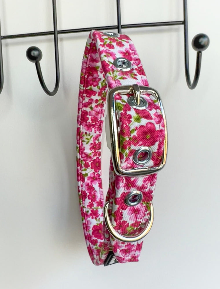 Floral puppy clearance collar