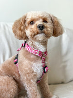 Pink Bloom Dog Harness