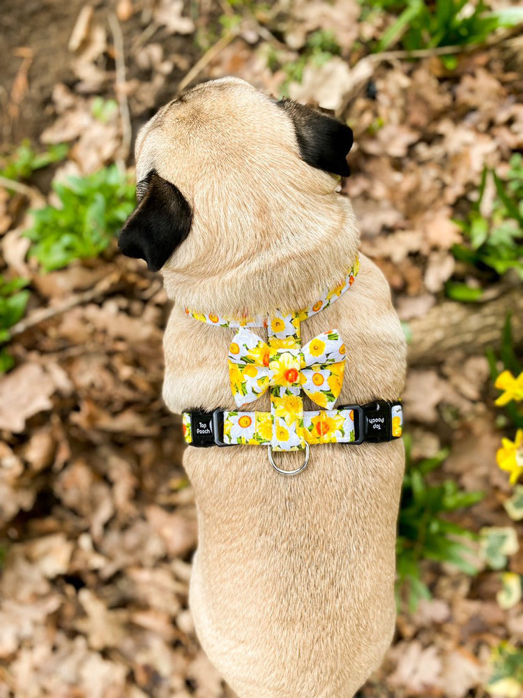 Spring Daffodils Dog Harness