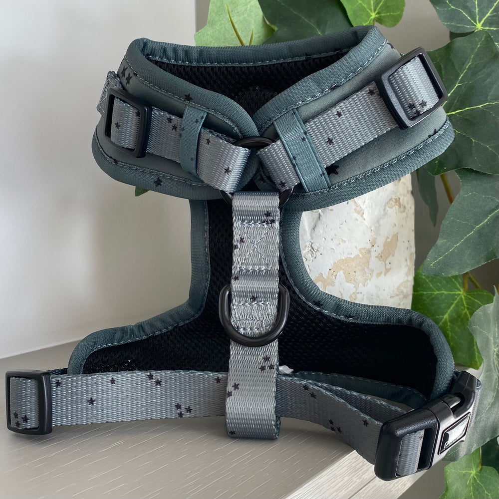 Minimal Stars Dog Harness - Misty Green