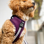 Retro Stripe Dog Harness - Aubergine