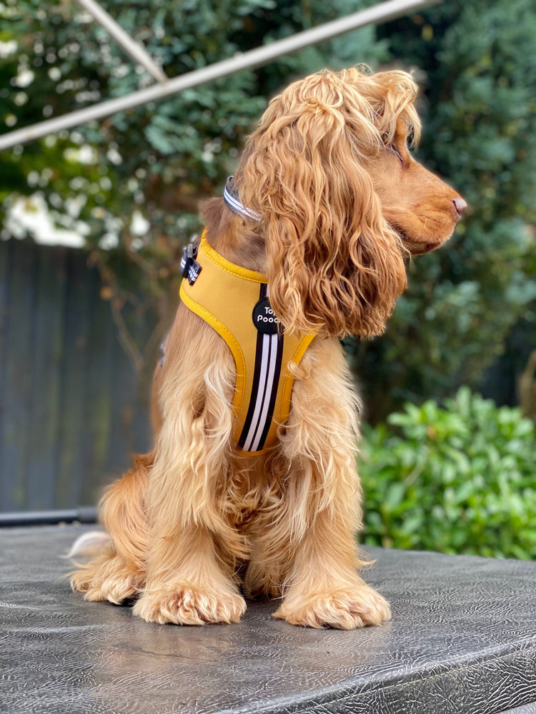 Retro Stripe Dog Harness - Mustard