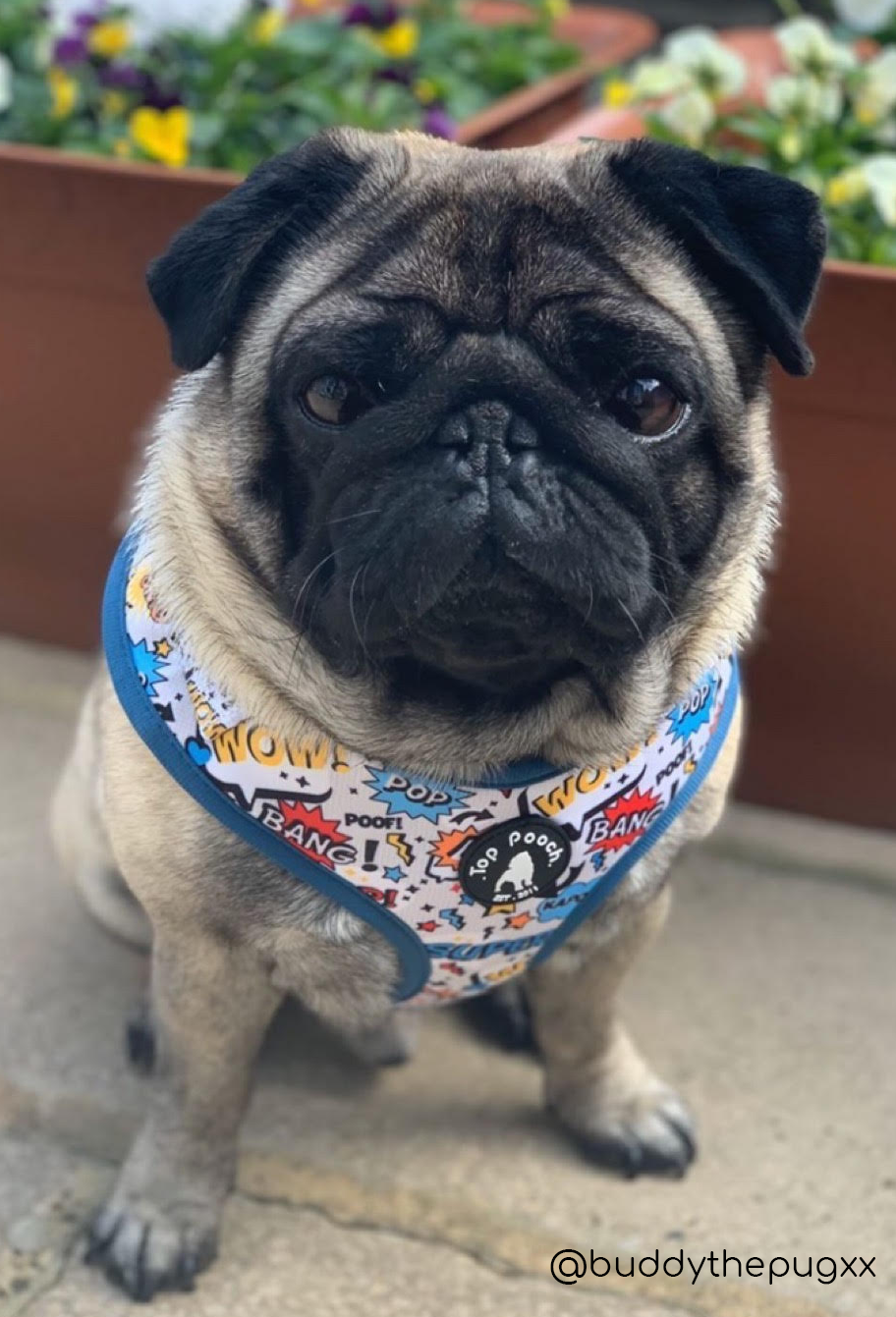 Superhero top dog harness